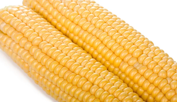 Two ripe yellow corn cob — Stock Photo, Image