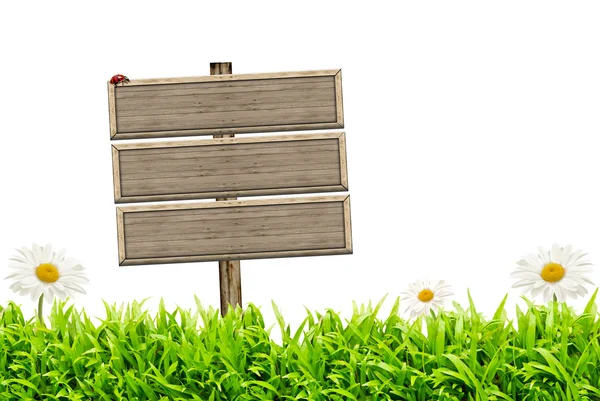 Lege houten teken en groen gras met madeliefjes — Stockfoto