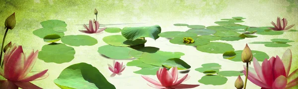 Water Lily banner su tela grunge texture — Foto Stock