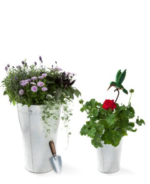 Bahçe çiçekleri ile kürek ve dekoratif kuş