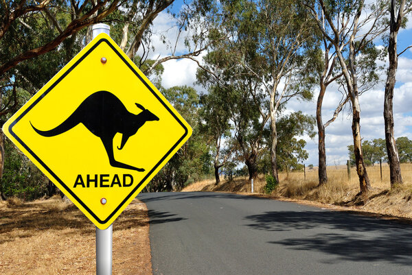 Kangaroo warning road sign