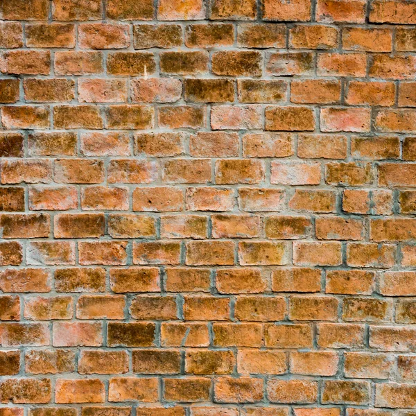 Fondo de textura de pared de ladrillo — Foto de Stock