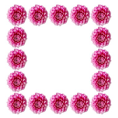 beyaz zemin üzerine pembe çiçekler frameisolated.