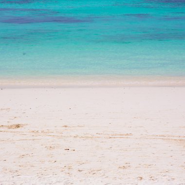 plaj ve tropikal deniz