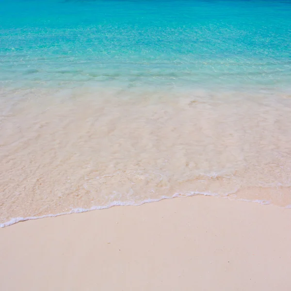 Пляж и тропическое море — стоковое фото