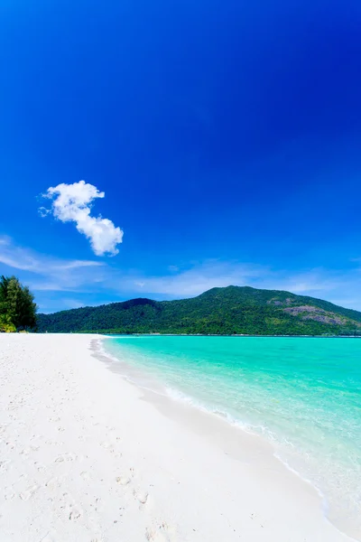 Plaj ve tropikal deniz — Stok fotoğraf