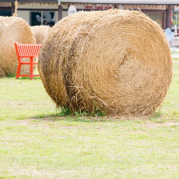 Brown Straw On Green Grass — Stock Photo, Image