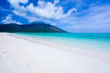 plaj ve tropikal deniz