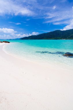 plaj ve tropikal deniz