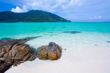 plaj ve tropikal deniz