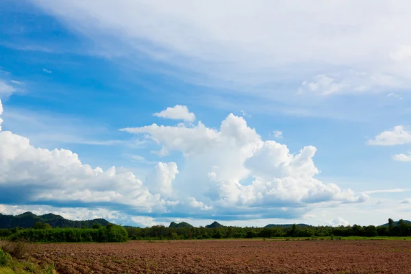 Hermoso paisaje con bonito cielo — Foto de Stock