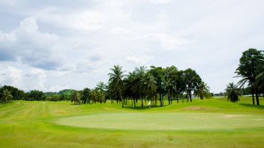 Golf Sahası