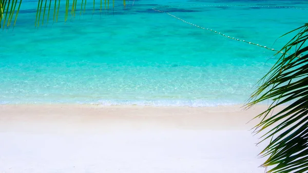 Bella Spiaggia Mare Tropicale — Foto Stock