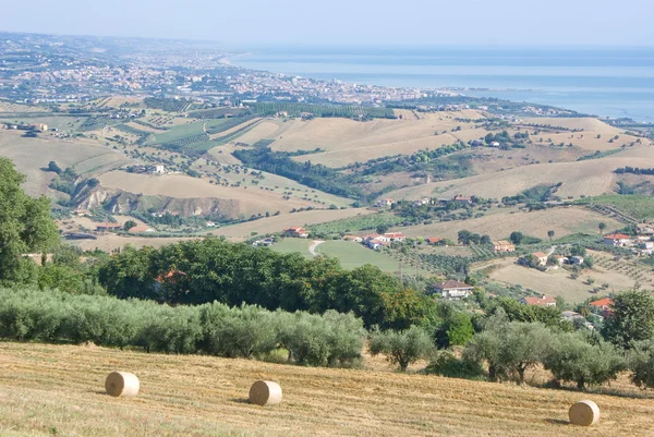 Hilly landscape — Stock Photo, Image