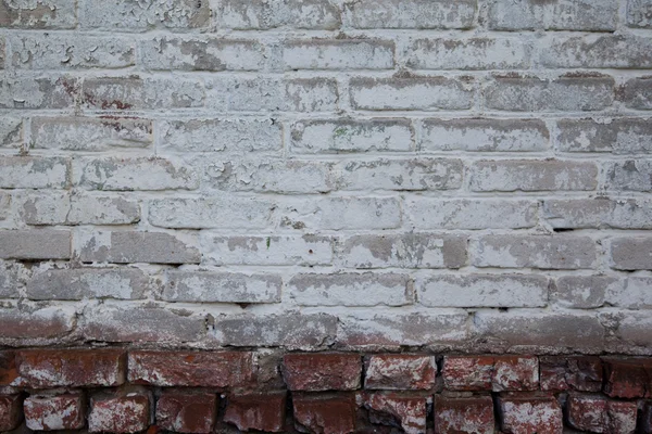 Textura pared de ladrillo — Foto de Stock