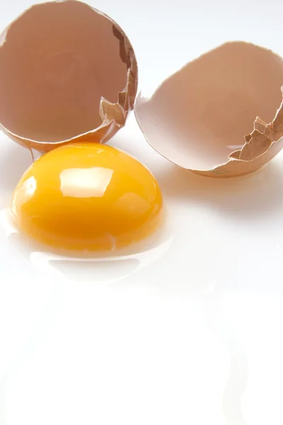 Raw egg — Stock Photo, Image