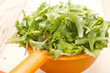 yeşil salata