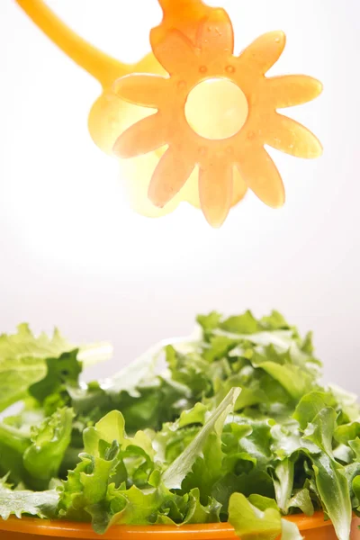 Ensalada verde — Foto de Stock