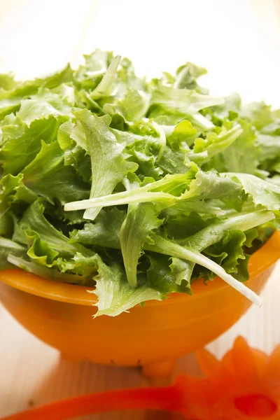 Insalata verde — Foto Stock