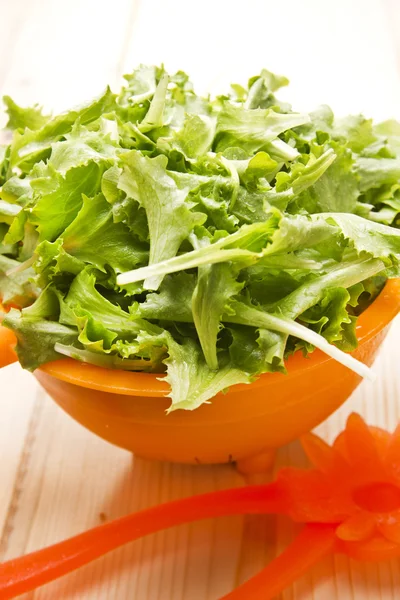 Insalata verde — Foto Stock