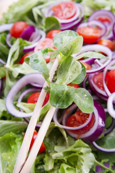 Blandade grönsaker — Stockfoto