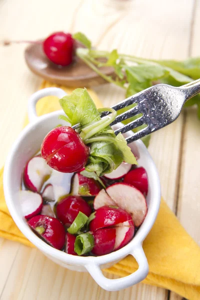 Producto del jardín, rábano fresco — Foto de Stock