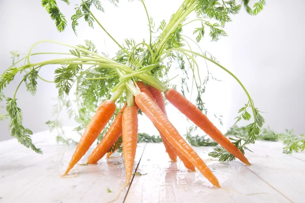 Ramo de zanahorias — Foto de Stock