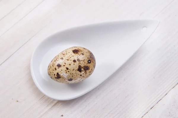 Huevos de codorniz — Foto de Stock