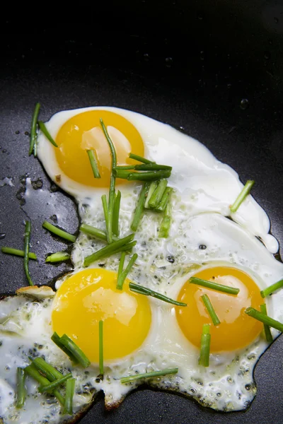 Huevos de codorniz —  Fotos de Stock