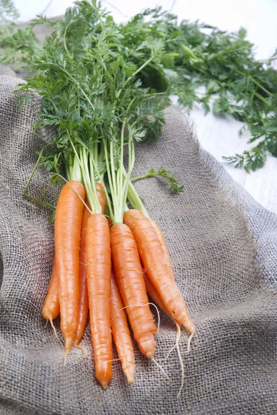 Bouquet de carottes — Photo