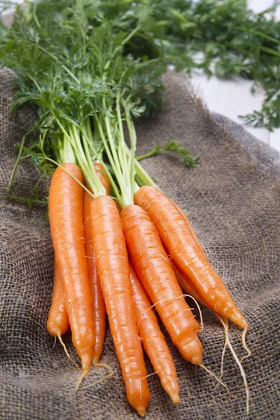 Ramo de zanahorias — Foto de Stock