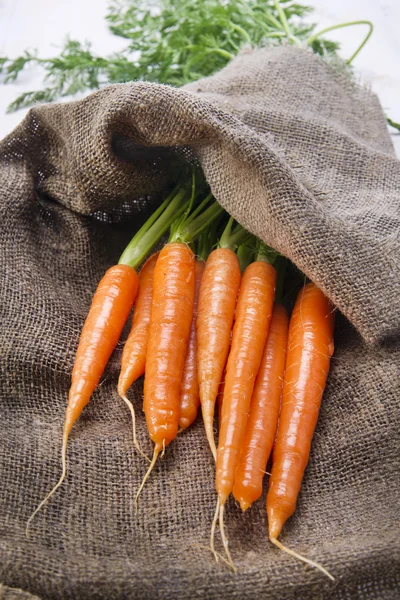 Ramo de zanahorias — Foto de Stock