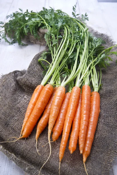 Ramo de zanahorias — Foto de Stock