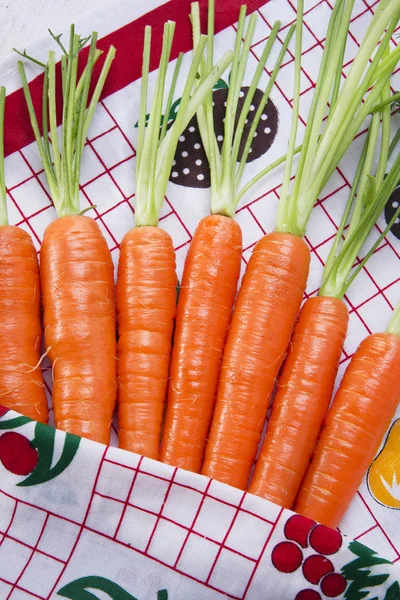 Bunch of carrots — Stock Photo, Image