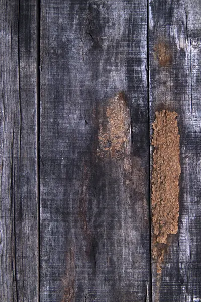 Natuurlijke achtergrond van hout gebaseerde — Stockfoto