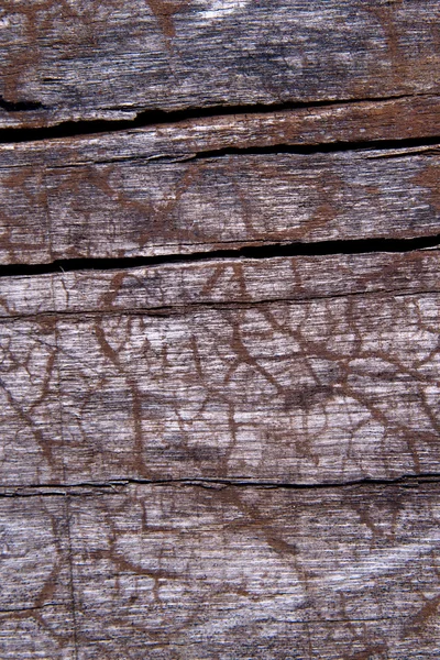 Naturalne tło opartej na drewnie — Zdjęcie stockowe