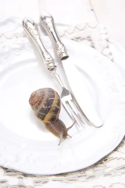 Almuerzo de caracoles —  Fotos de Stock