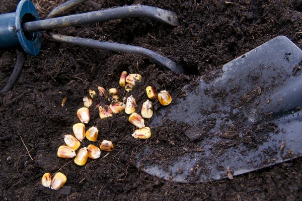 Tijd voor het zaaien — Stockfoto