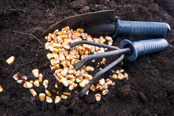 Time Of Sowing — Stock Photo, Image