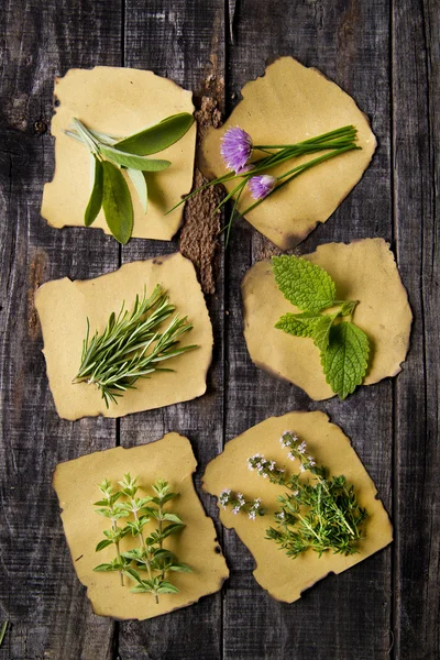 Aromen von Kräutern — Stockfoto