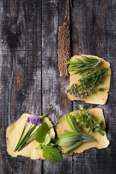 Smaker av örter — Stockfoto