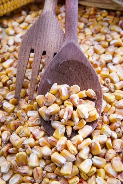 Corn Beans — Stock Photo, Image
