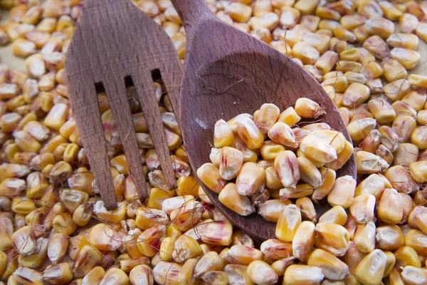 Corn Beans — Stock Photo, Image