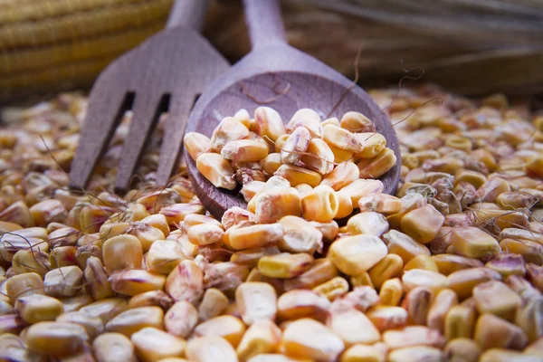Кукурузные бобы — стоковое фото