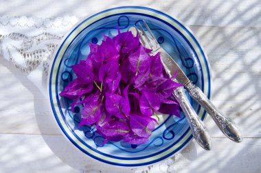 Begonvil ile ilk ders