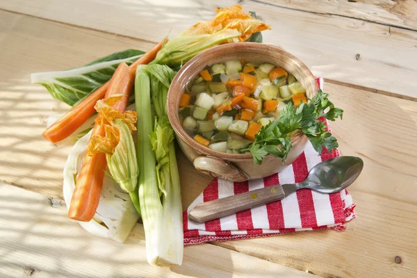 混合蔬菜炖煮的食物 — 图库照片