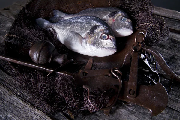 Boven zee vissen brasem schalen — Stockfoto