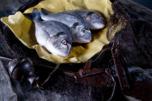 Acima do mar Bream Escalas de peixe — Fotografia de Stock