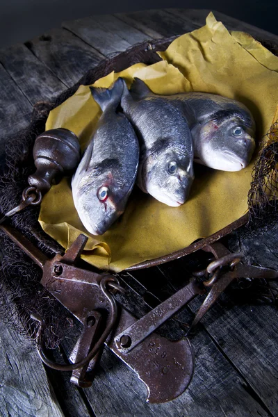 Acima do mar Bream Escalas de peixe — Fotografia de Stock