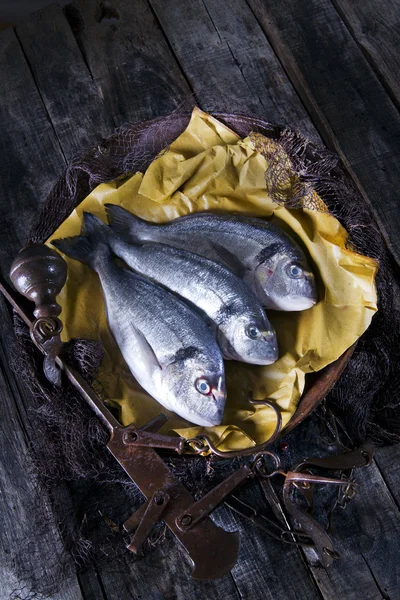 Acima do mar Bream Escalas de peixe — Fotografia de Stock